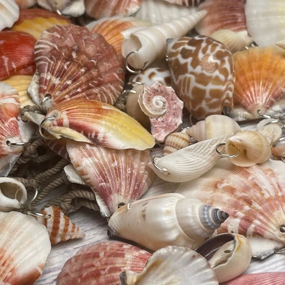 15 REAL SEASHELLS CHARMS PENDANTS w 15 JUMP RINGS FOR CRAFTING & JEWELRY MAKING - Picture 5 of 13